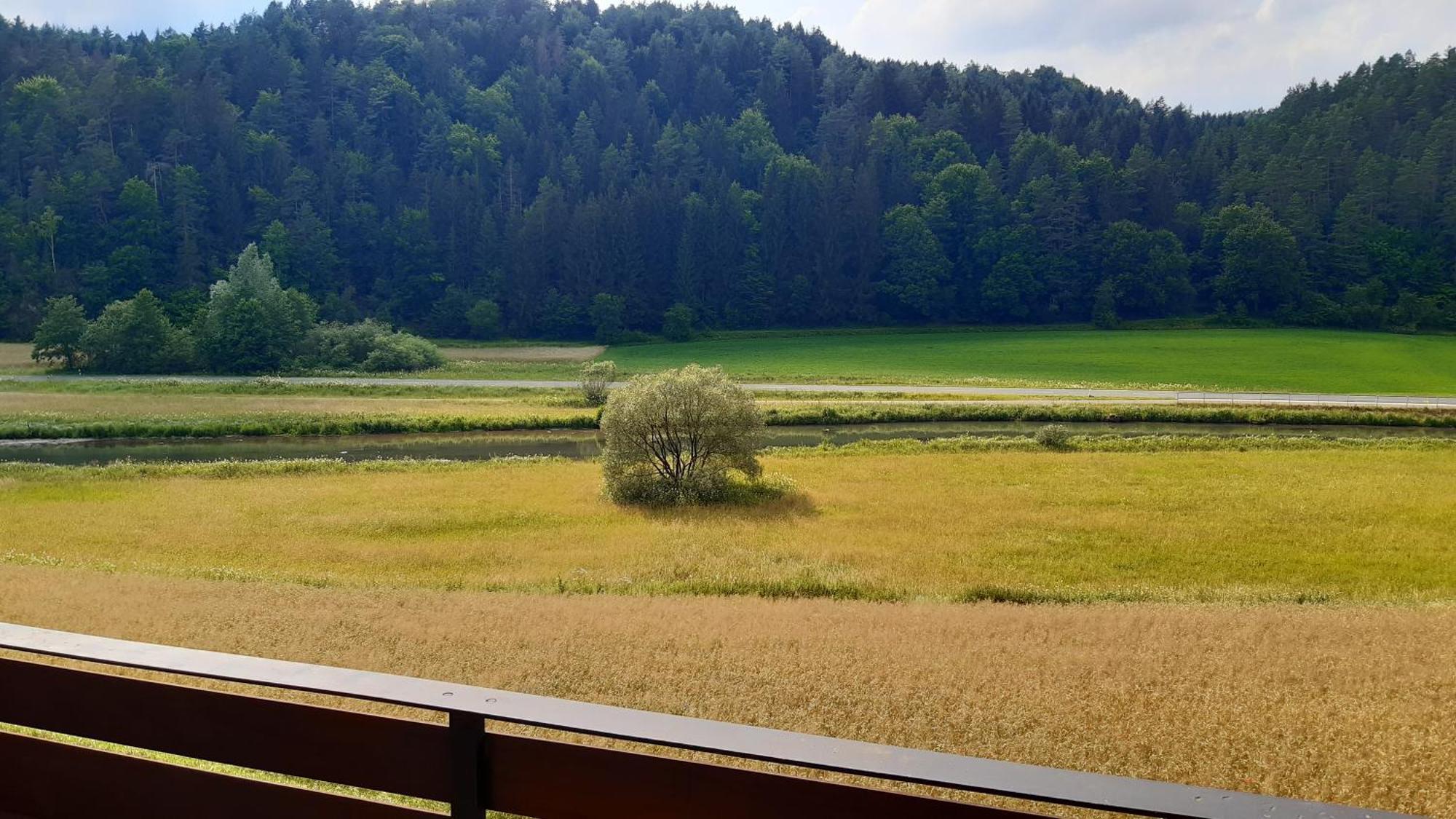 فندق Waldpension Rabeneck فايشنفلد المظهر الخارجي الصورة